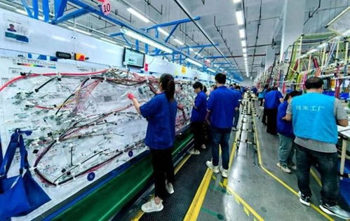 商洛高新區(qū)弗迪科技線束工廠四期投產(chǎn) 環(huán)保科技賦能汽車產(chǎn)業(yè)高質量發(fā)展